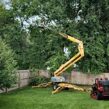 Best Tree Mulching  in Rosenhayn, NJ