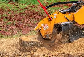 Best Commercial Tree Services  in Rosenhayn, NJ